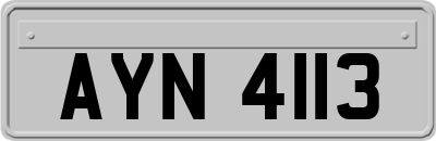 AYN4113