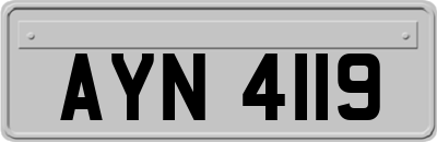 AYN4119