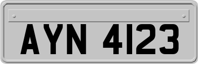 AYN4123