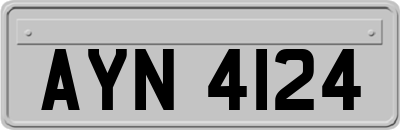 AYN4124
