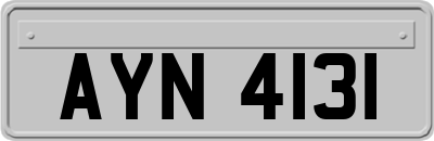 AYN4131