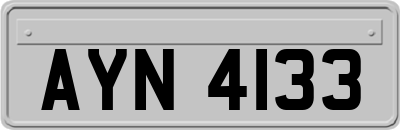 AYN4133