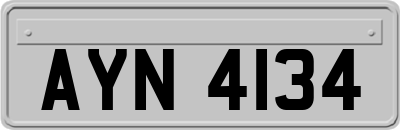 AYN4134