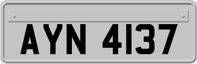 AYN4137