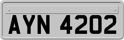 AYN4202