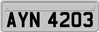 AYN4203