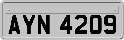 AYN4209