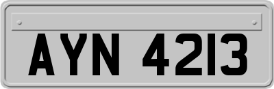 AYN4213