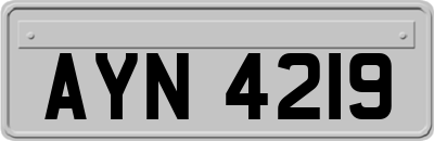 AYN4219