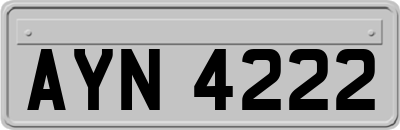 AYN4222