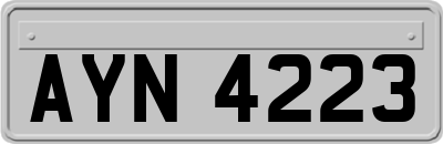 AYN4223