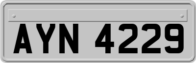 AYN4229