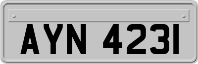 AYN4231