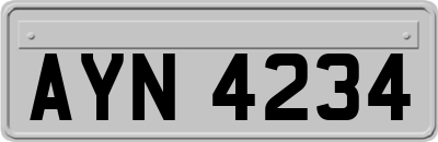 AYN4234