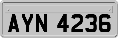 AYN4236