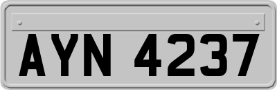 AYN4237