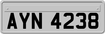 AYN4238