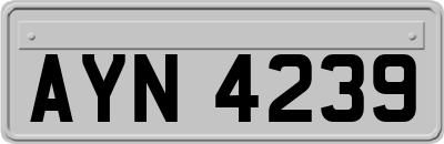 AYN4239
