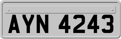 AYN4243