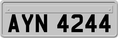 AYN4244