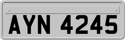 AYN4245