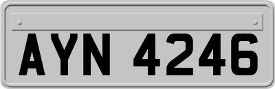 AYN4246