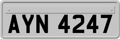 AYN4247
