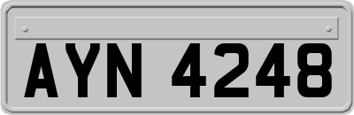 AYN4248