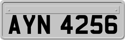 AYN4256