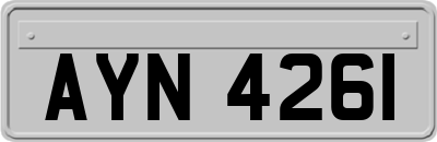 AYN4261