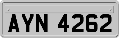 AYN4262