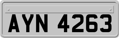 AYN4263