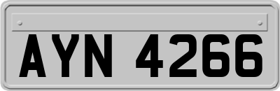 AYN4266
