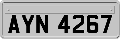 AYN4267