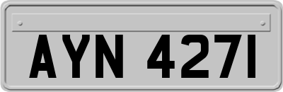 AYN4271