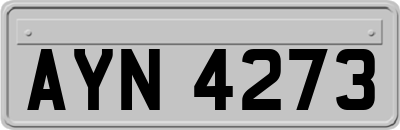 AYN4273