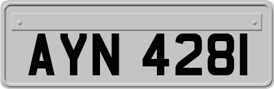 AYN4281