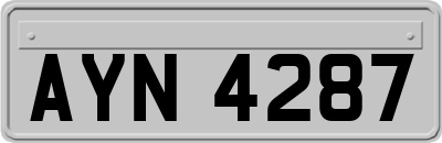 AYN4287