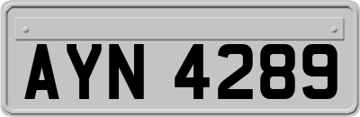 AYN4289