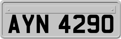 AYN4290