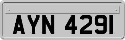 AYN4291