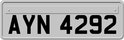 AYN4292