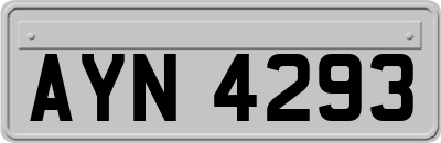 AYN4293
