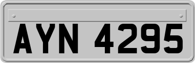 AYN4295