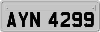 AYN4299