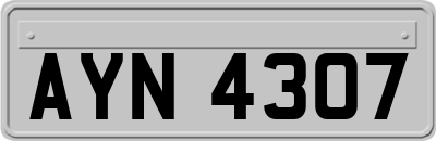 AYN4307
