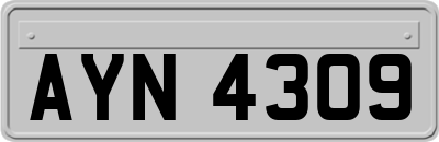 AYN4309