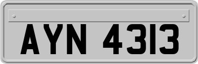 AYN4313