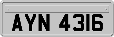 AYN4316