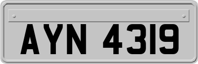 AYN4319
